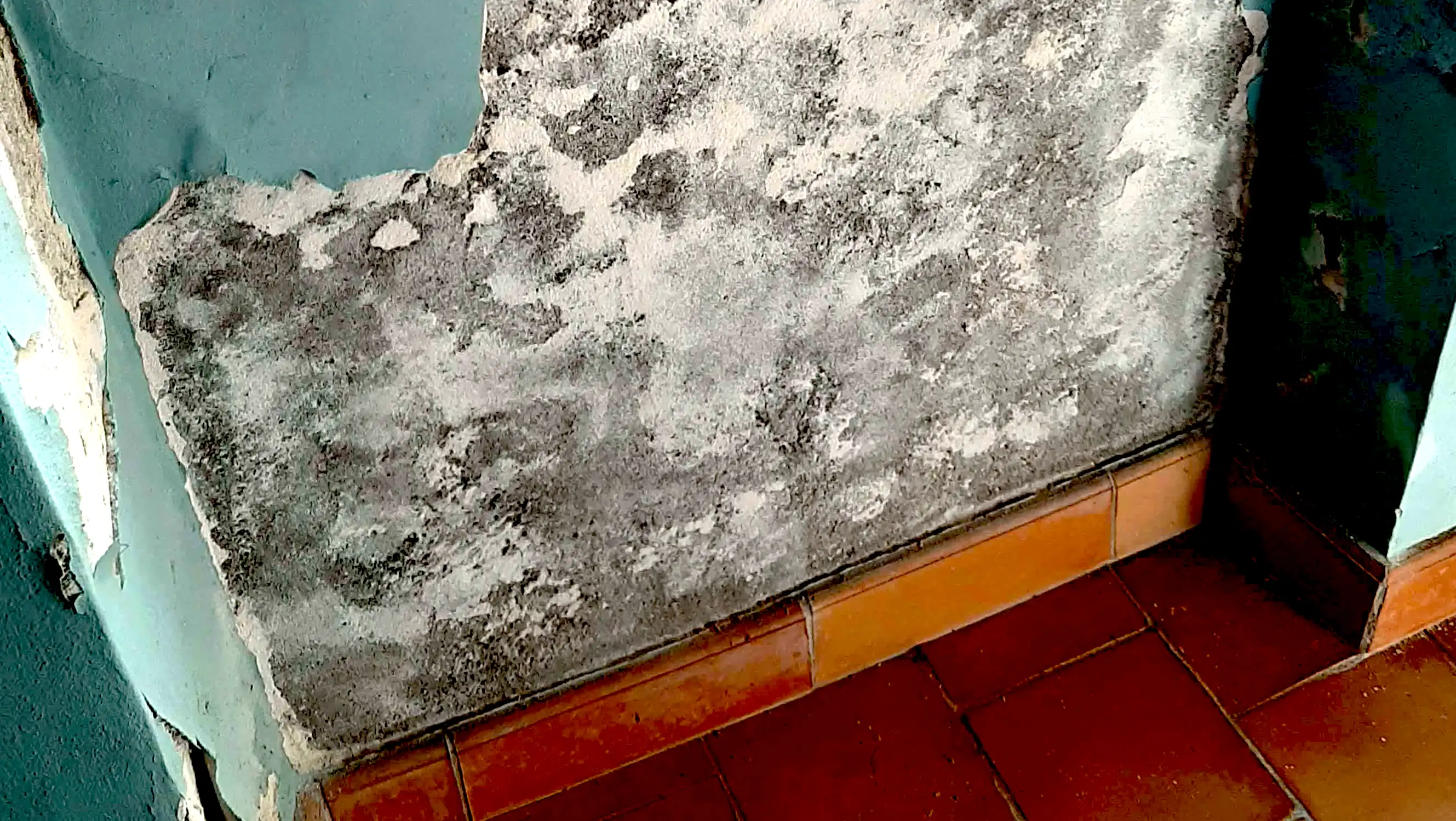 Bâtiment humide nécessitant un devis de traitement