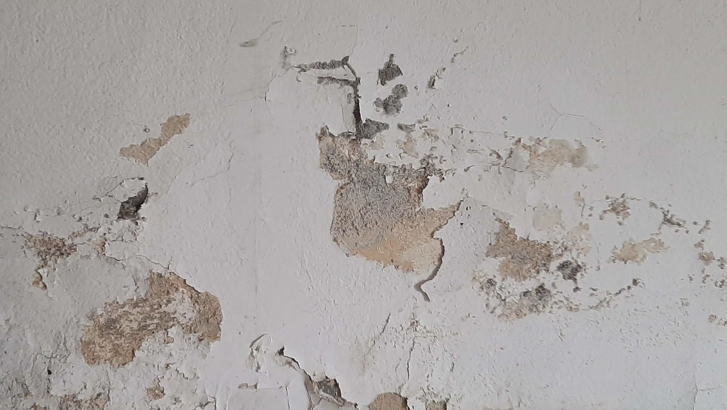 Flaking paint - building moisture issue