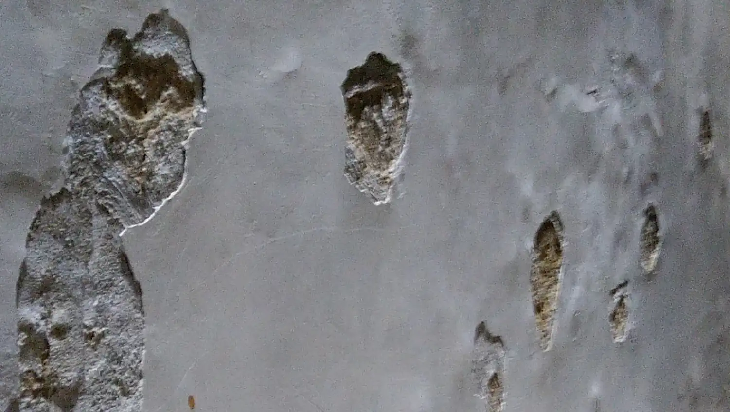 Crumbling plaster - building moisture issue