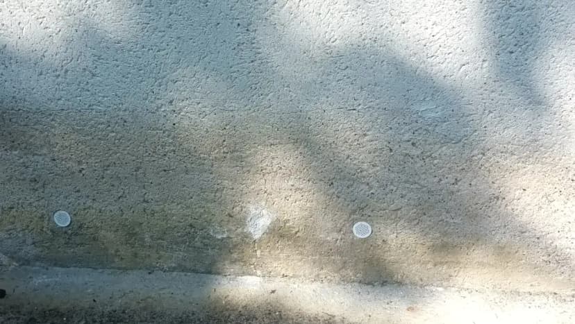 Rising damp on a wall