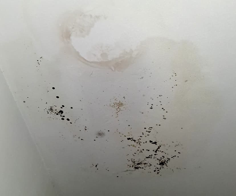 Dégâts des eaux et assèchement