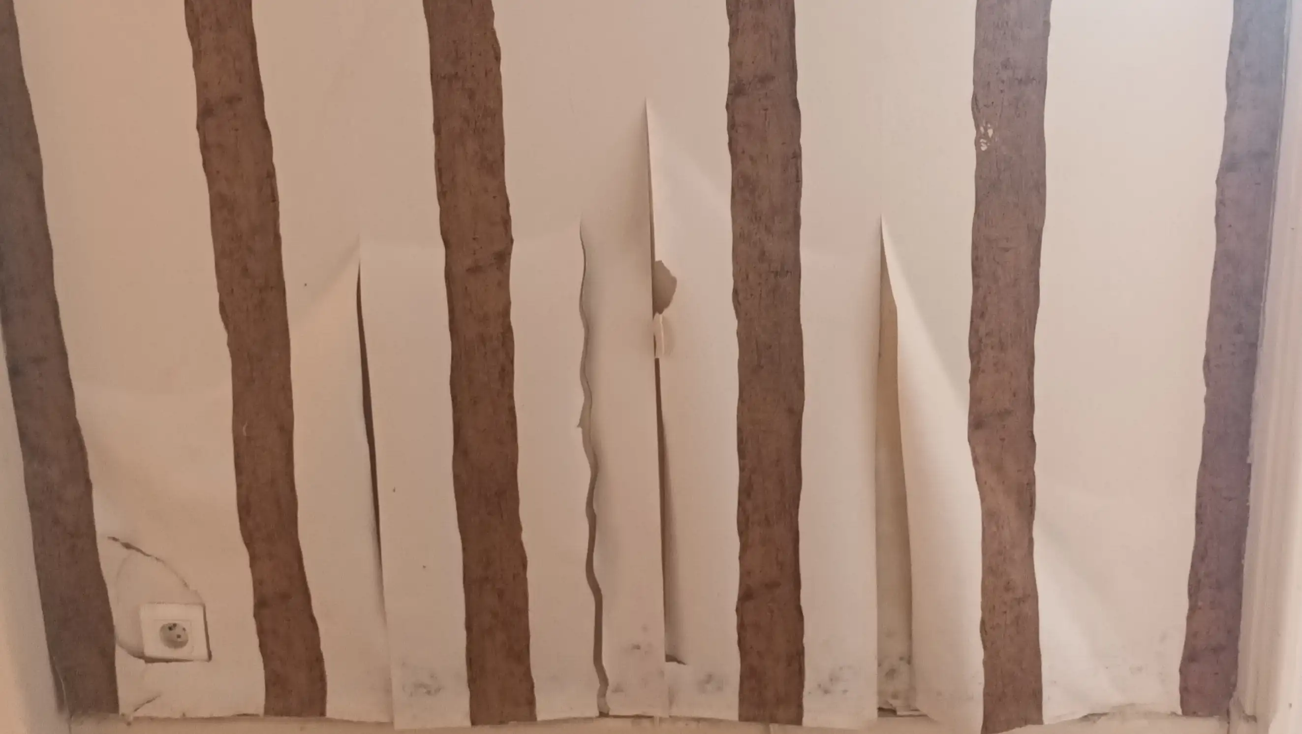 Décollement des papiers peints — humidité du bâti
