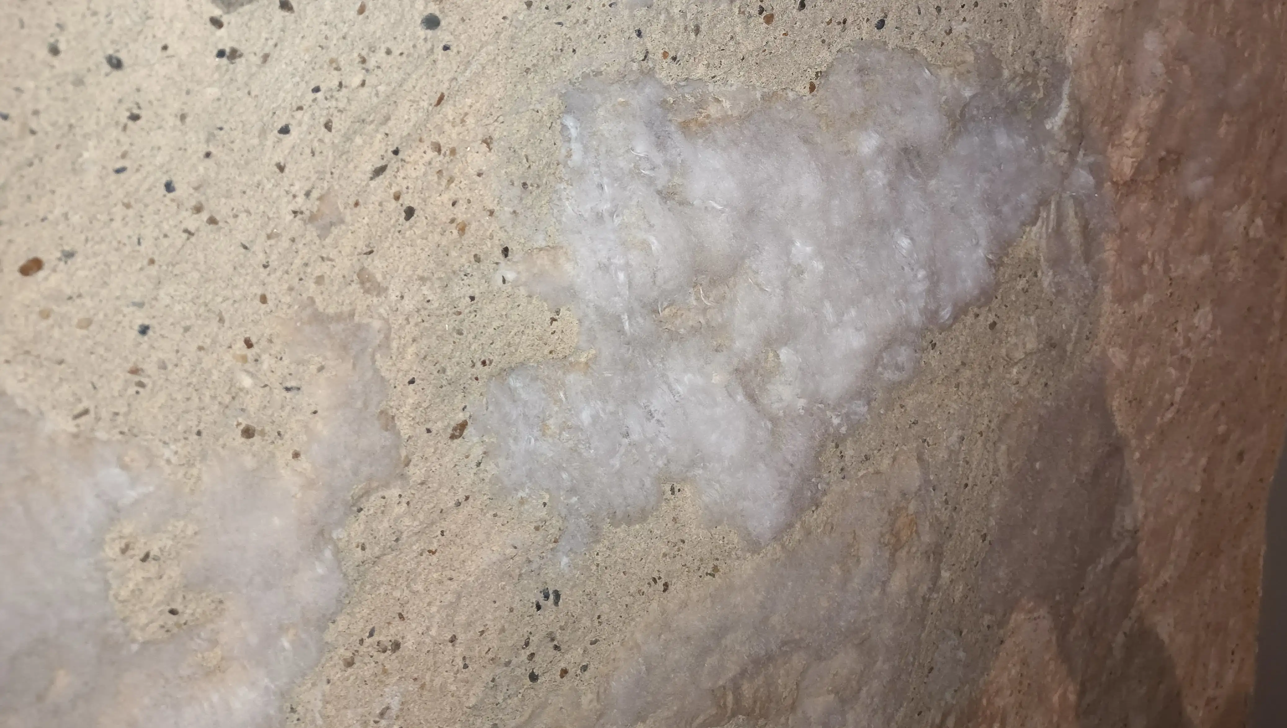 Salpêtre — humidité du bâti