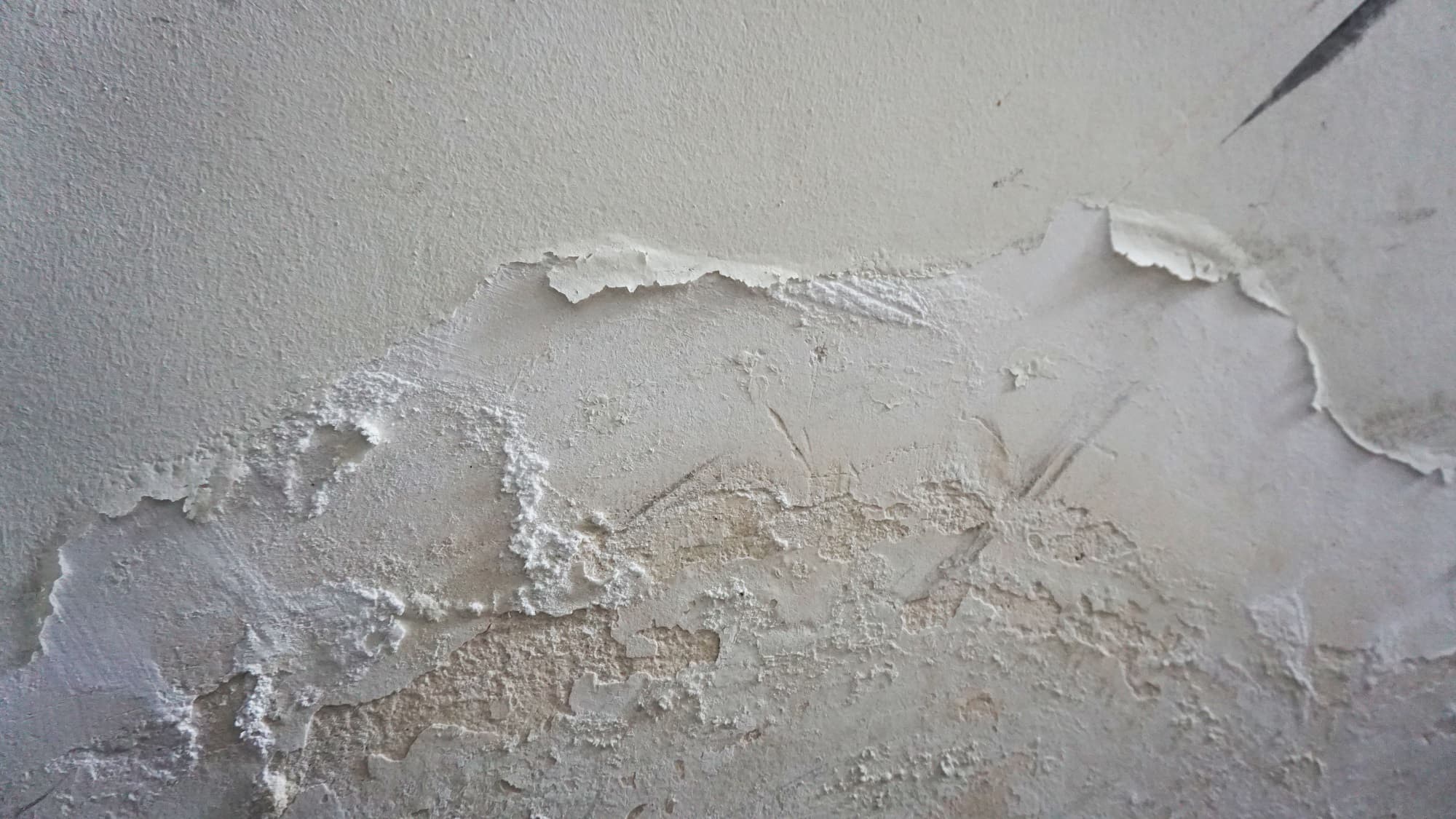 Peinture écaillée sur un mur humide